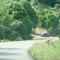 Via Caripito - Casanay (2)