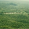 Shimaraña - Rio Caura - Venezuela