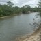 Guariquito Blanco