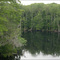 Ocklawaha River @ State Road 19