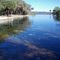 Salt Springs, FL 2008