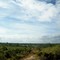 Overlooking Buckskin Lake, Ocala National Forest