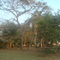 Area  Barinas