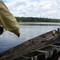 Entrerrios. Confluencia de los rios Caura y Erebato