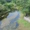 Withlacoochee River