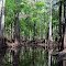 Withlacoochee River South