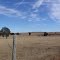 panoramic of rural pasture land, west of Trilby Fla (1-14-2012)