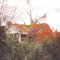 vine covered grovehouse, torn down in 2002 (1-1997)