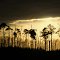 Sunset Richloam Preserve. Withlacoochee State Forest