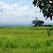 Depresión Turbio-Yaracuy