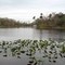 St Johns River View at End of Trail