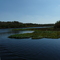 St. Jonhs River