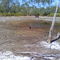 dried up pond