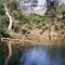 Llanos river