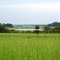 Estero del Banco, Hato El Socorro, Estado Cojedes.