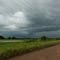 tormenta llanera