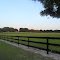 Equestrian feild somewhere in Ocala, FL