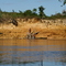 Rio Sipapo