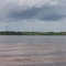 orinoco