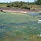 Caño Pasa, aguas cristalinas y musgos