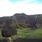Paisaje de Isla Ratón