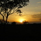 atardecer de la via guanarito- guanare. edo portuguesa