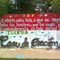 murales