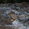 rio morocoto arriba