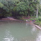 rio morocoto