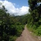 Route de Guanoco à Guariquen