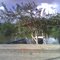 Caño Guariquén