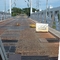 Bridge on the Rio Apure