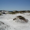 Topsail State Park