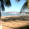 Pilares de Palmeras, Paseo Colon. PLC, Venezuela