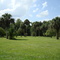 Highlands Hammock State Park FL