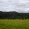 Cerro