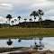 Sabana, Amazonas, Venezuela