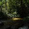 Amazonas, Venezuela. Amazon, Venezuela