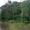 En Amazonas