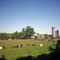 Farm