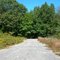 Abandon Road