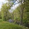 Eight Mile River