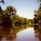 A Goldmine of Seclusion