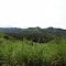 De Altagracia de Orituco hacia Camatagua.- Guárico.