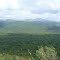 FINCA CAMORUCO EDO GUARICO