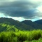 Montañas de los Valles de San Diego