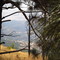 Cafetal Desde el cerro el café