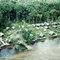 CAMPAMENTO MIS PALAFITOS