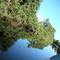 Orinoco Delta