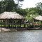 Warao indians